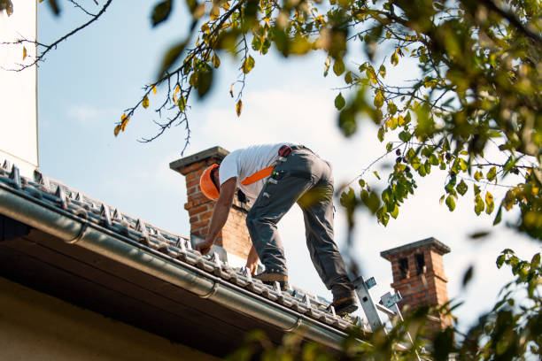 Roof Gutter Cleaning in Hayward, CA